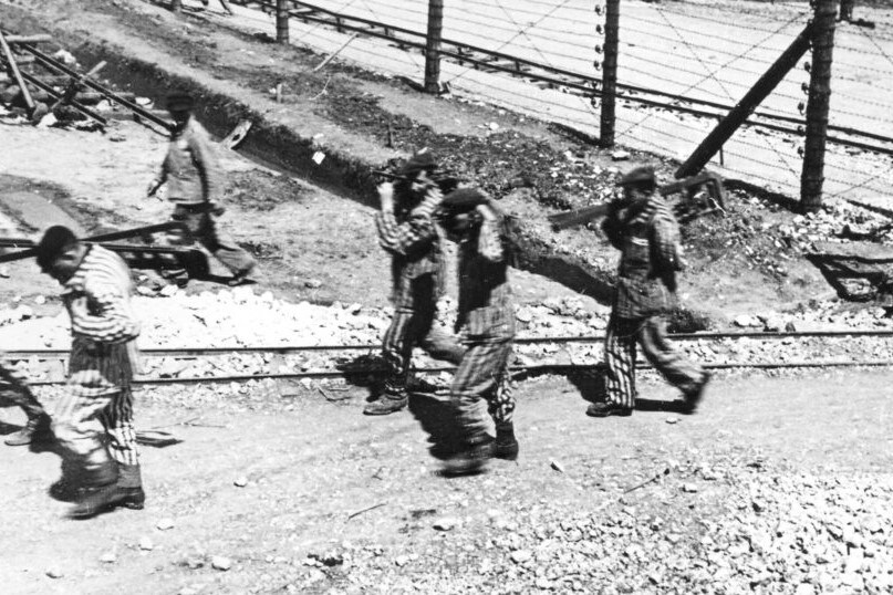 United for Democracy 